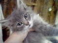 /album/our-animal-pics/picture-511-jpg/